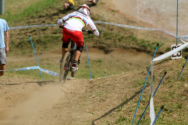 Santa Cruz Syndicate