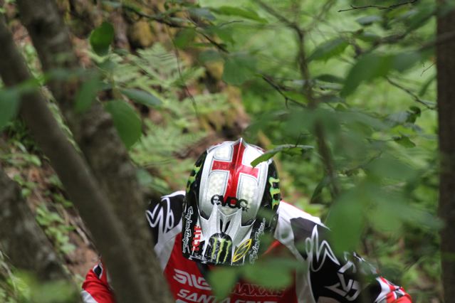 UCI World Cup XCO / XCE / DHI 2 - Val di Sole - Gallery