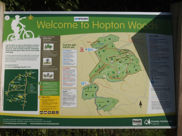 Hopton Woods 6/7/2013