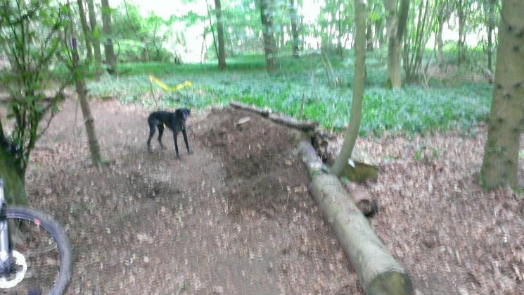 Me and a mate starting the beginning of our flow t