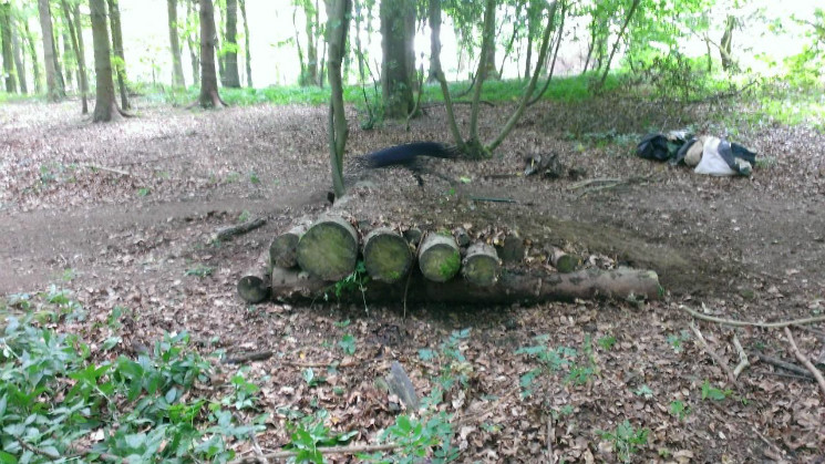 Me and a mate starting the beginning of our flow t