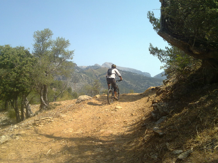 Mountain Bike