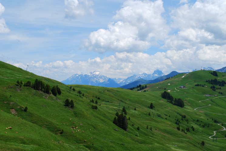 River Rat Jimmy - Morzine 