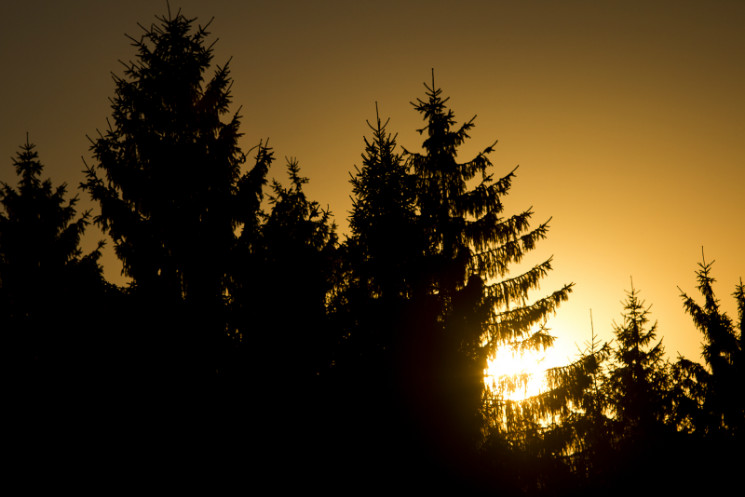 4X Protour 2013 - Round 4 JBC Revolutions - Gallery