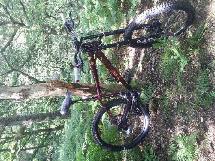Mountain Bike