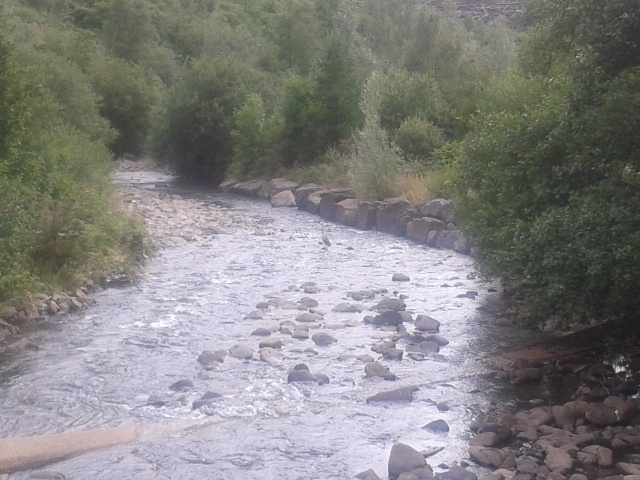 A Heron wading in the River at the beginning of Wh