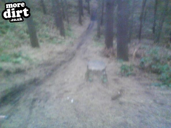 Delamere Forest Mountain Bike Trails