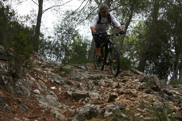 Mountain Bike
