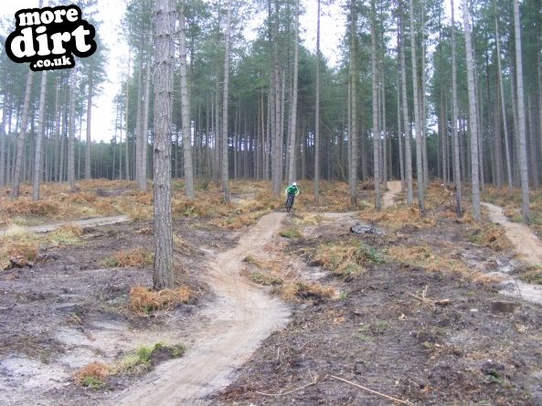 Sherwood Pines Bike Park