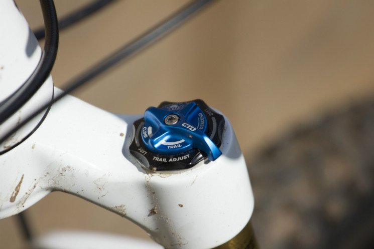 Transition Covert 29