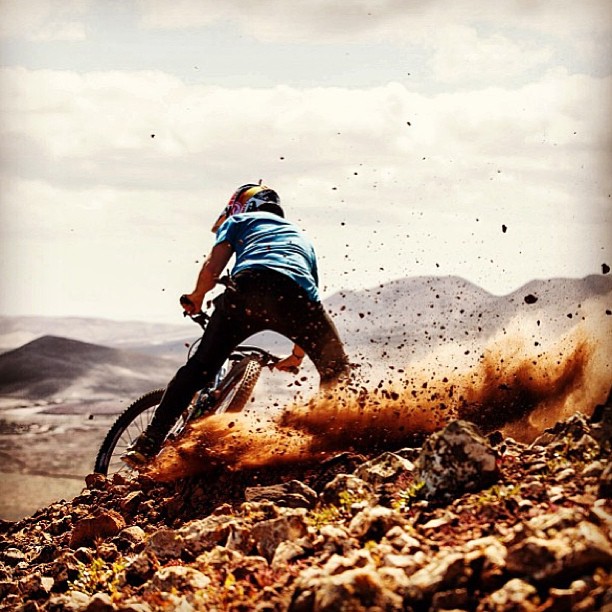 Tweets of the week - Zim Blake