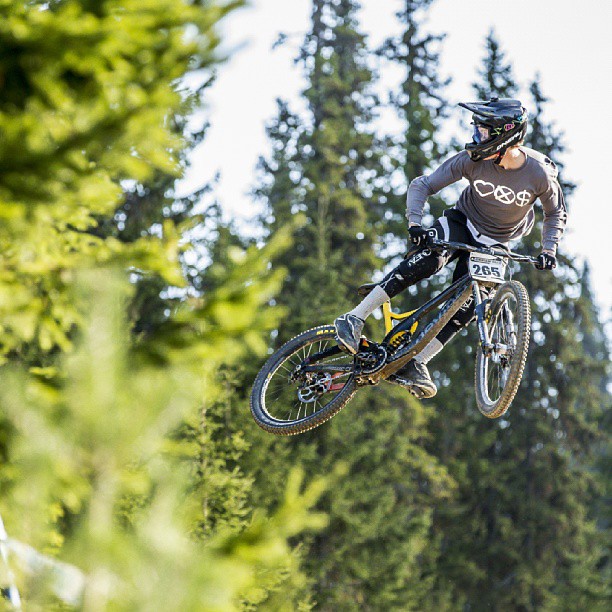 Tweets of the week - Will Weston