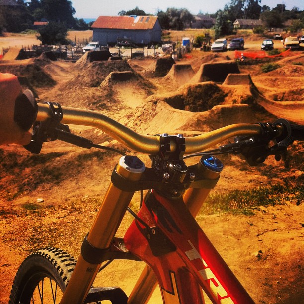 Tweets of the Week - Cam McCaul