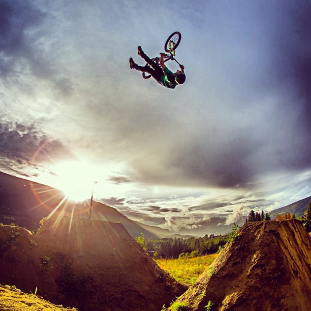 Tweets of the Week - Sam Reynolds / Jacob Gibbins