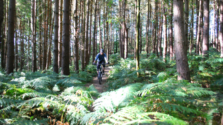 Stainburn Forest Mountain Bike Trail Centre