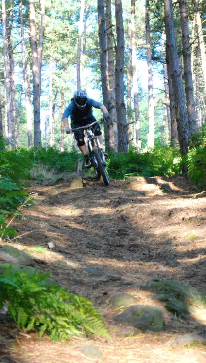 Stainburn Forest Mountain Bike Trail Centre