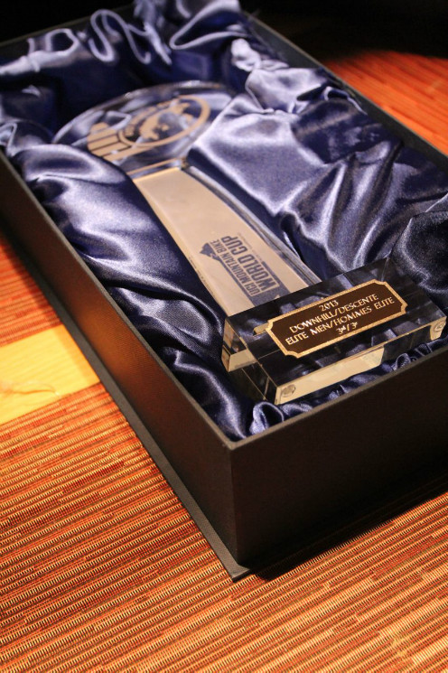 UCI World Cup DHI  6- Leogang - Gallery