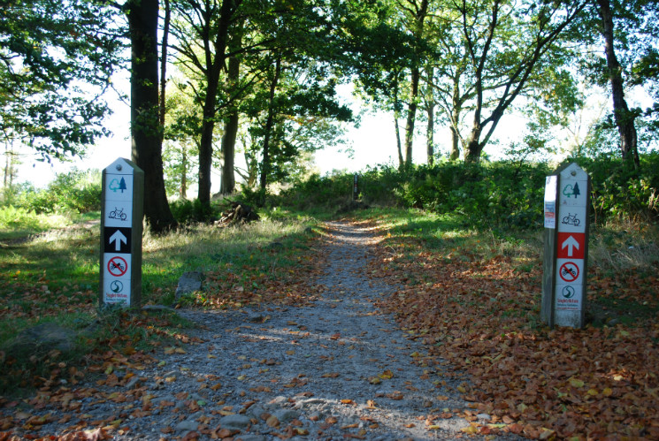 Stainburn Forest Mountain Bike Trail Centre