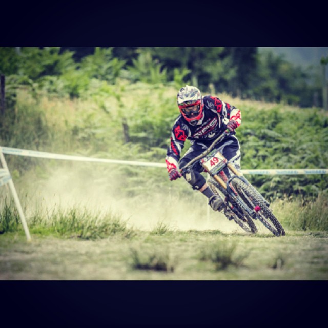 Tweets of the Week - Loose dog lewis