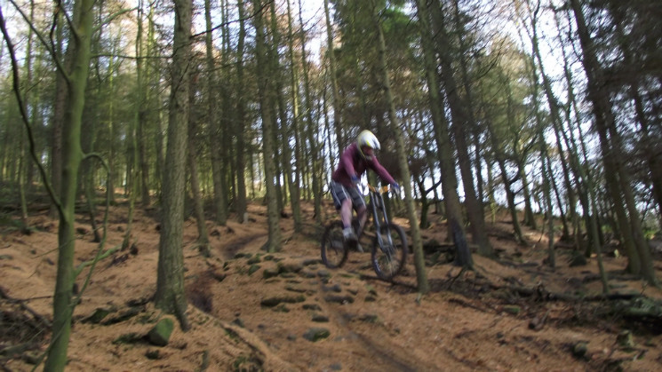 My local Park. Trail me and my brother built