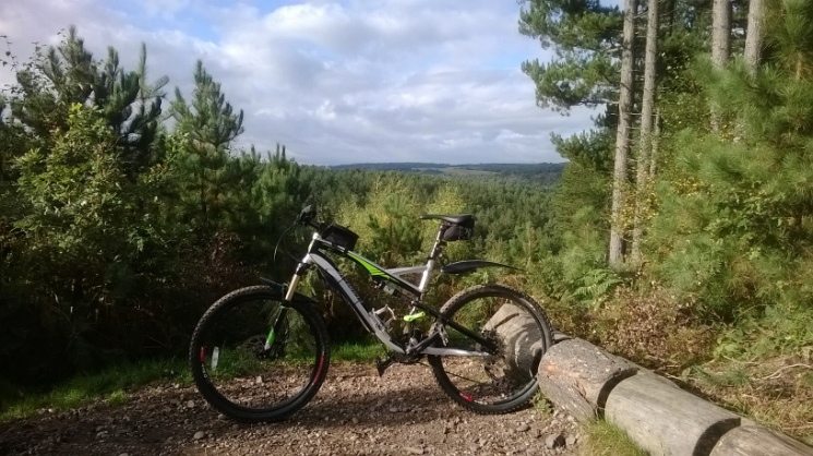 Monkey Trail - Cannock Chase