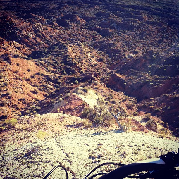 Tweets of the Week - Red Bull Rampage