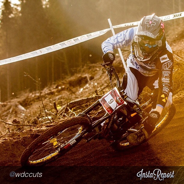 Tweets of the Week - Joe Smith