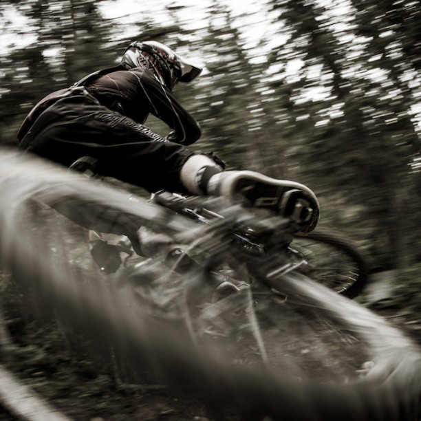 Tweets of the week - 25/10/2013