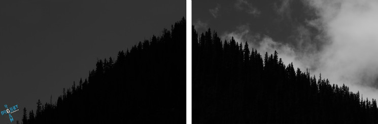 Projekt Roam Landscapes - Episode 2