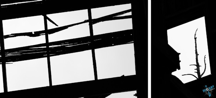 Projekt Roam Landscapes - Episode 2