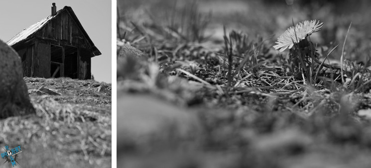 Projekt Roam Landscapes - Episode 2