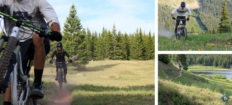 Projekt Roam Landscapes - Episode 2