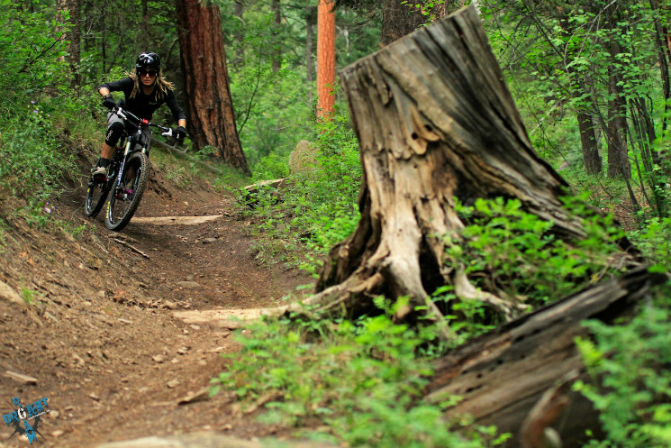 Projekt Roam Landscapes - Episode 2