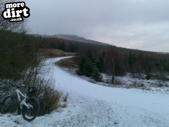 Penmachno Mountain Bike Trails