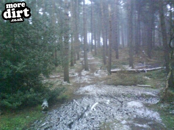 Delamere Forest Mountain Bike Trails