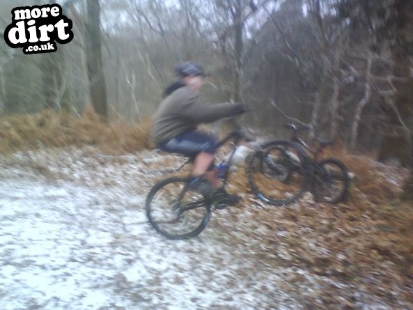 Delamere Forest Mountain Bike Trails