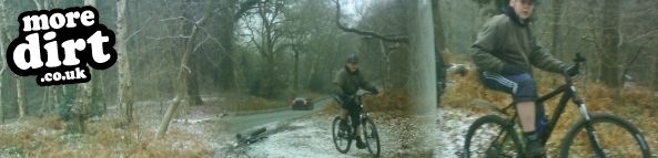 Delamere Forest Mountain Bike Trails