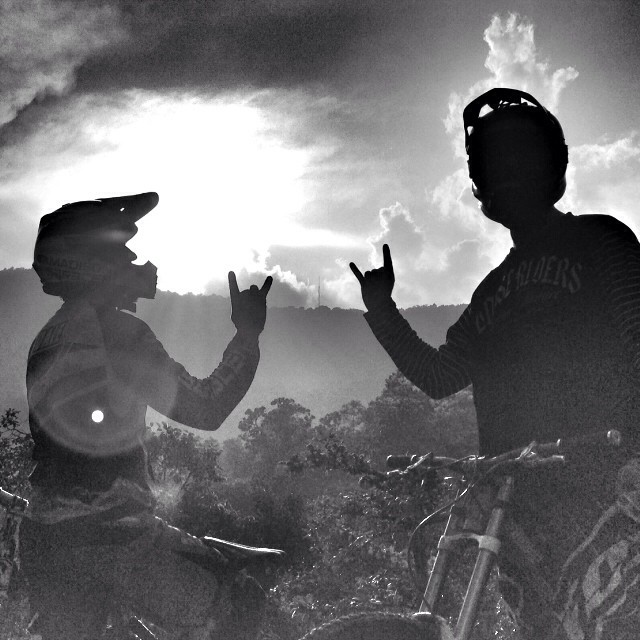 Tweets of the Week - 01/11/2013