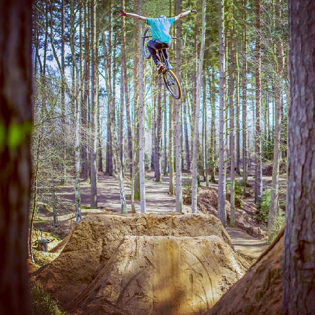 Tweets of the Week - 01/11/2013