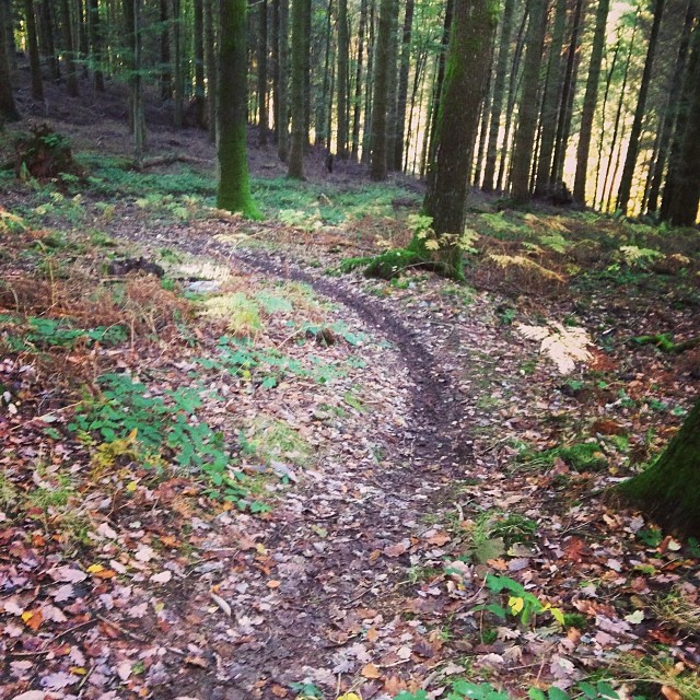 Tweets of the Week - 01/11/2013