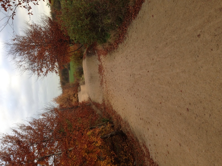 Rushcliffe Country Park 4X Track