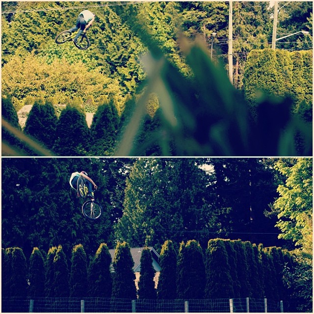 Tweets of the Week - 20/12/2013