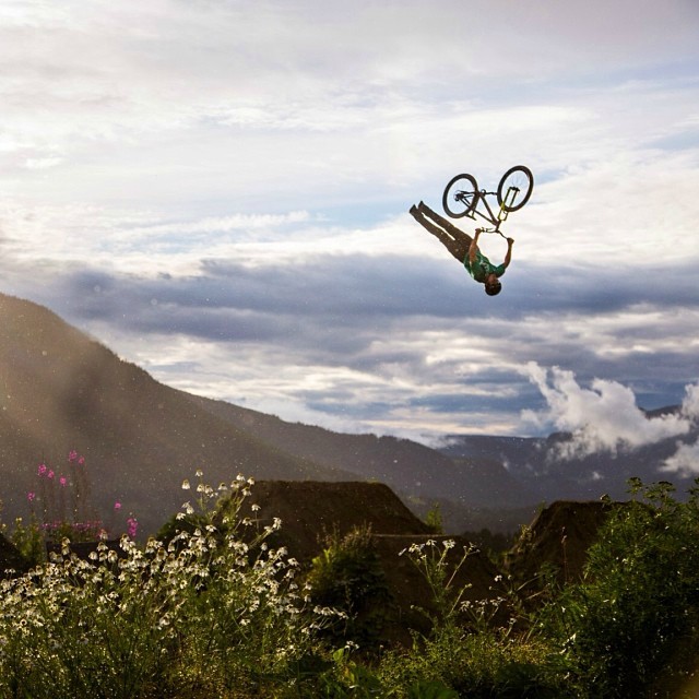 Tweets of the Week - 20/12/2013