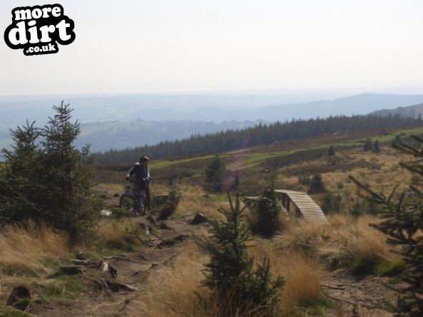 Twrch Trail - Cwmcarn