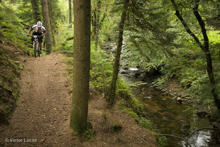 European Marathon Championships