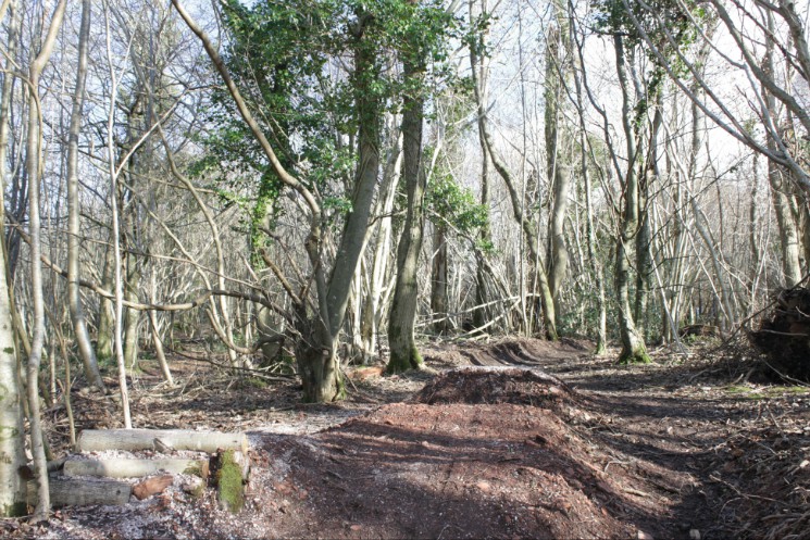 Scadson Woods Mountain Bike Park