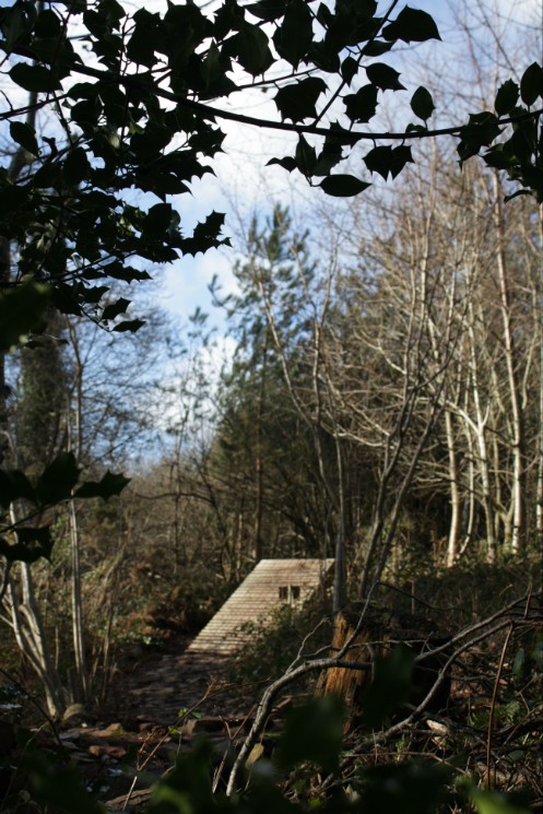 Scadson Woods Mountain Bike Park