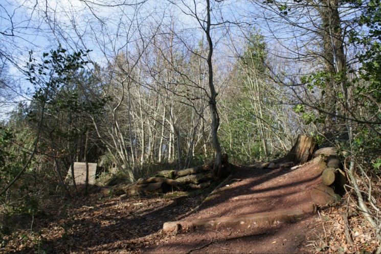 Scadson Woods Mountain Bike Park