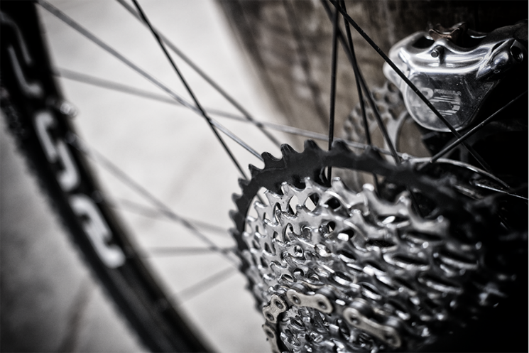 e*thirteen Extended Range Cog