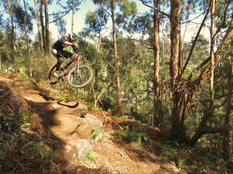 Madeira Mountain Biking